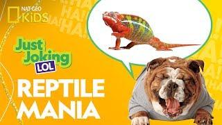 Reptile Mania | Just Joking—LOL