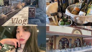 Vlogl 주말 도산공원 핫플 정복 |인생 후토마끼집 발견 [카멜커피, 꽁티드 툴레아, TKii, aru dinning ],Haus 도산,하루필름,도산공원 산책까지