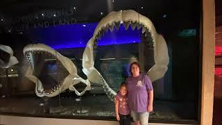 Florida Museum of Natural History in Gainesville Florida-permanent exhibits