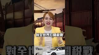 寧德時代上市 關稅戰下衰事?