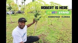ROBERT IS HERE FRUIT STAND| HOMESTEAD, FL