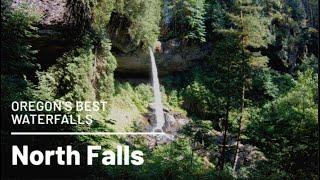 BEST OREGON WATERFALLS - North Falls | Oregon Waterfalls | Silver Falls State Park