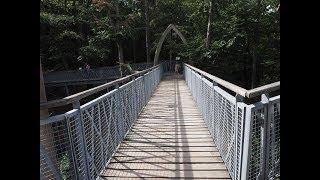 Ich auf dem TreeTopWalk