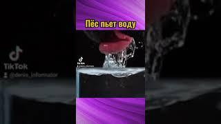 Эпичные кадры в слоу-мо #слоумо #slowmotion