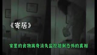 男子家裏的食物離奇消失監控拍下了恐怖的真相