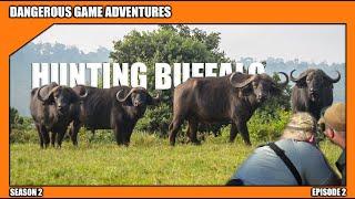 Cape Buffalo Hunting - Season 2 Episode 2