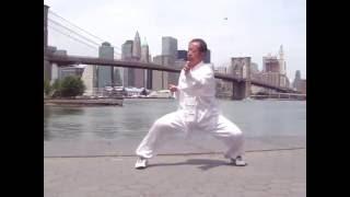 Chen Style Tai Chi Old First Form｜陈氏太极老架一路