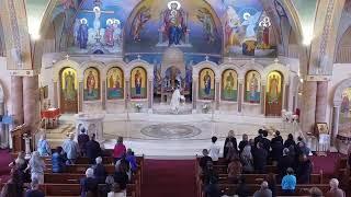 11-10-2024 Eighth Sunday of Luke  Matins and Divine Liturgy