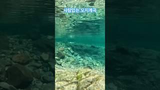 사람하나 없는 오지 계곡 #계곡추천 #여름휴가 #하옥계곡 #오지계곡