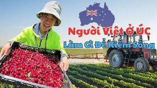 Người Việt Ở Úc Làm Gì Để Kiếm Sống | Trần Anh Sơn