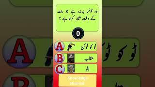 Top Islamic Question Answer | Islamic Sawal Jawab | Amazing Islami Paheliyan |Best Urdu Quiz|VM