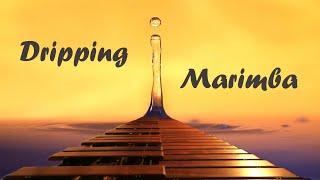 Relaxing Marimba Music - Dripping Marimba - Meditation / Focus / Anti Stress / Sleep /  = 42 BPM