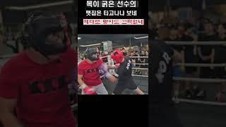 목이 굵은 선수의 맷집은 타고나나 보네 "제대로 맞아도 끄덕없네" #복싱 #권투 #boxing #shorts #sports #mma #챔피언 #제이나인 #유산소운동 #맨몸운동