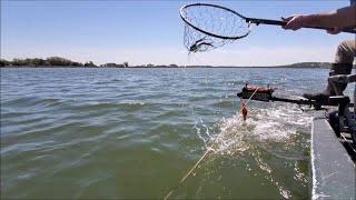 How to Trotline Crab - (The Crab Show) - Early Spring