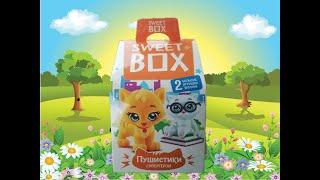 Sweet Box Пушистики супергерои