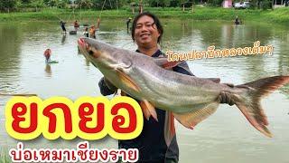 ยกยอ บ่อเหมาฟิชชิ่งเก่า ►Fishing lifestyle Ep.768