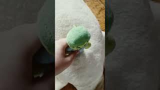 курица джагей но только это игрушки