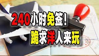 中國出台最新免簽政策，這態度幾乎是跪求洋人去中國；上海中學學生“笑也有罪”，令人感慨（2024-12-18第2370期）