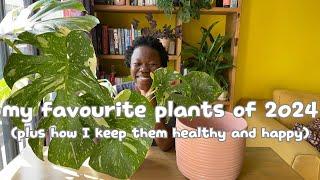 my favourite plants of 2024 (plus how I keep them healthy and happy)