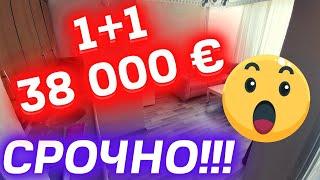 2 комнатная за 38000 € | Недвижимость в Турции | купить недорогую квартиру в Алании | Бюджетная