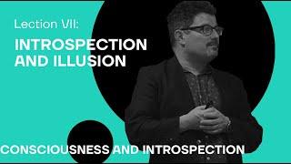 7. Introspection and Illusion. Consciousness and Introspection with Daniel Stoljar