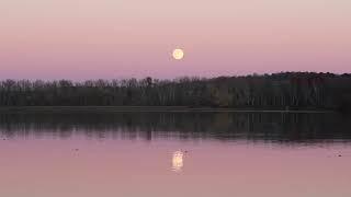 Taurus Super Full Moon Montage