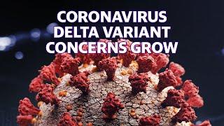 Coronavirus Delta variant concerns grow