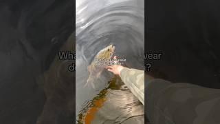 What’s a lure that NEVER catches fish?! #fishing #shorts