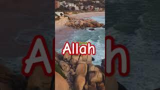 Surah Al Karim Translation urdu #shortfeed #viralvideo #quran #islam