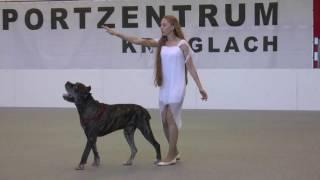 OEC DogDance 2016 HTM 2nd Place