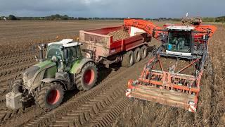 Harvest 2024 at Franzen Agriculture | Onions, potatoes  | Planting, ploughing & more