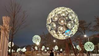 Одуванчики в Москве.  dandelions new year's. dandelions in Moscow beautiful