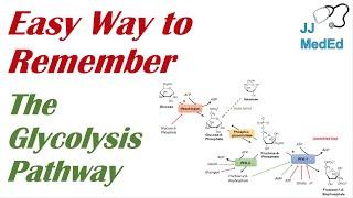 How to Remember the Glycolysis Pathway Intermediates and Enzymes | Mnemonic