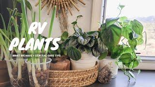 RV Plants | What Plants We Have + General Care Tips | Taxa Mantis