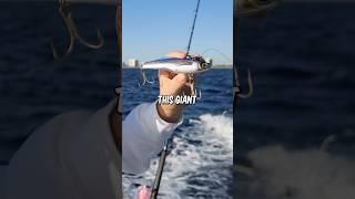 Fishing A GIANT Lure For A MONSTER #shorts #fishing