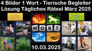 4 Bilder 1 Wort - Tierische Begleiter - 10.03.2025 - Lösung Tägliches Rätsel - März 2025