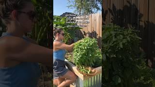 the best #slowliving #homemaker #vegetablegarden #gardening #backyardgardening #raisedbedgardening