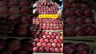 ₹2700 Today's Spur Apple Market  | Apple Market Update | Himalayan farming | Live Update