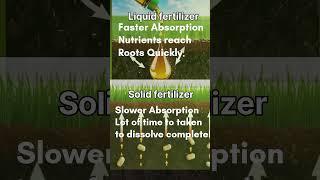 Why Are You Use Liquid Fertilizer Not Solid #shorts #liquidfertilizer #lsdg