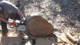 Mastermind Worksaws Woods Ported Stihl 088