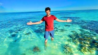 Inside the Great Barrier Reef of Australia!