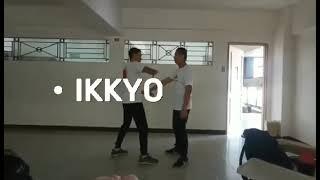 Combat aikido performance