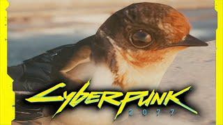 Cyberpunk 2077 Swallow