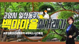 고양시 일산동구 마두동 백마마을아파트단지 실거래가와 특징을 소개해요_월드신뢰 TV_안순옥 공인중개사_is77