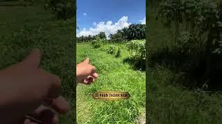 Nhà Đất Giá Rẻ | Nam Land 02: Đất vườn gần KCN Tân Hương, DT 10x35 giá chỉ có mấy trăm triệu.