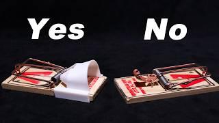 Mouse Trap Hood - How To Make A Mouse Trap Work Even Better. Mousetrap Monday