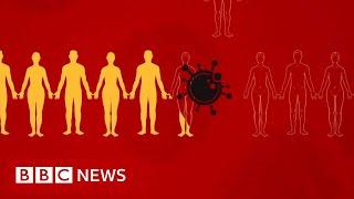 Coronavirus: What is social distancing? - BBC News