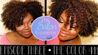 The Salon Experience - The Color 411 | Episode 3 | CharyJay