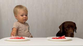 Baby and His Dog Wait for Treats!  Funniest Ending!