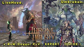 Throne and Liberty Solo Dungeon Guide KR | Lionhead and Umbrakan  - Tier 5.  x-Bow/Dagger PoV |